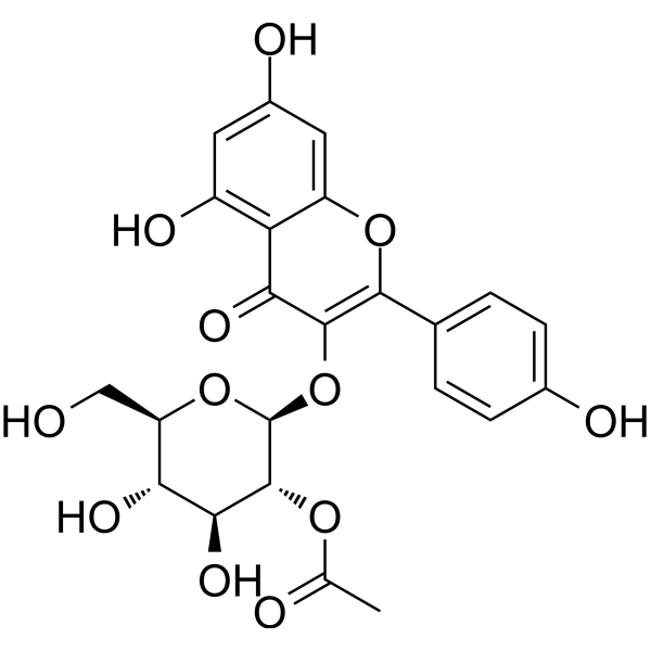 2′′-Acetylastragalin 1206734-95-3